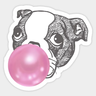 Bubble gum Pug Sticker